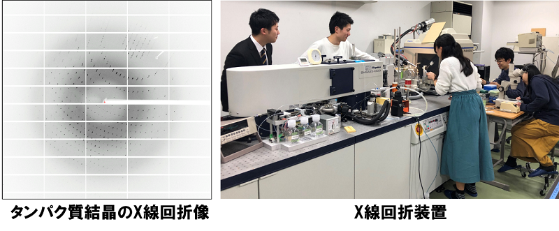 タンパク質の結晶のX線回折像とX線回折装置