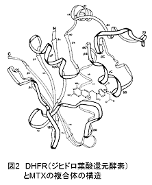 図2