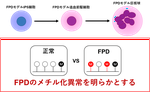 家族性血小板異常症（FPD)のエピゲノム解析