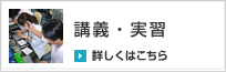 講義・実習