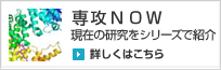 専攻NOW