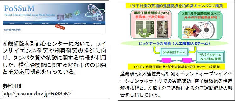 構造細胞科学研究室