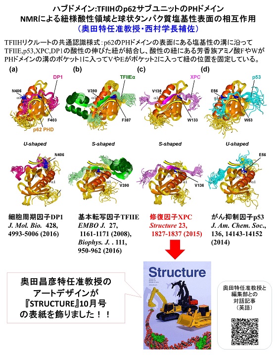 研究成果1