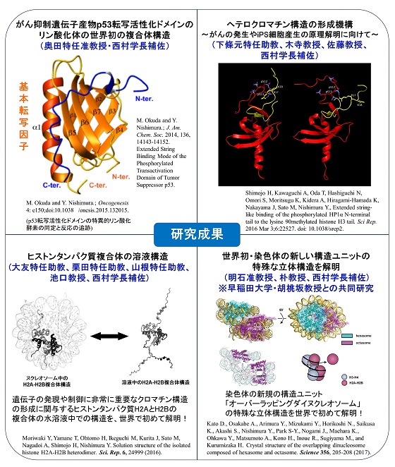 研究成果2