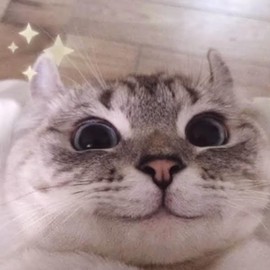 舒 許峰